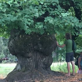 Soins énergétiques en pleine nature